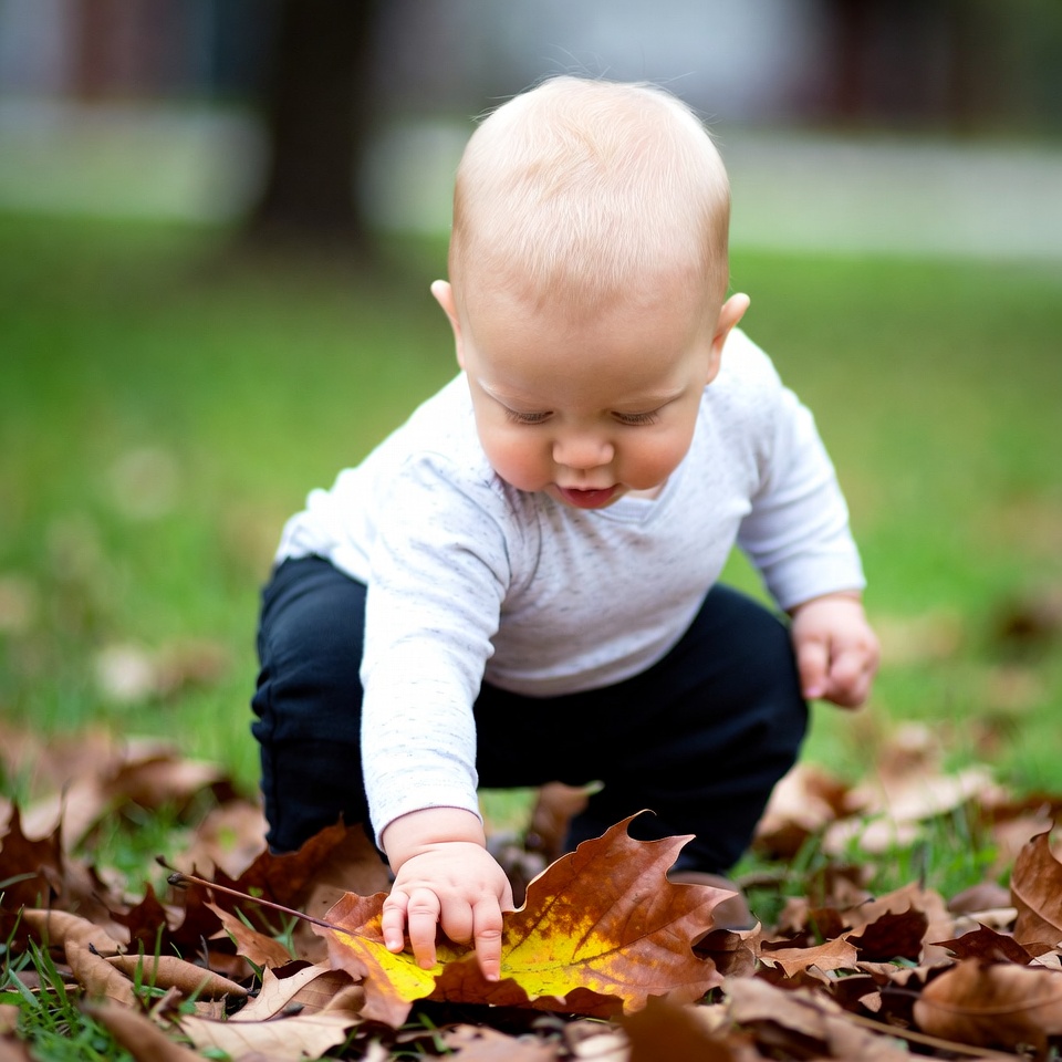 Baby playing with autumn leaves in the park Baby playing with autumn leaves in the park