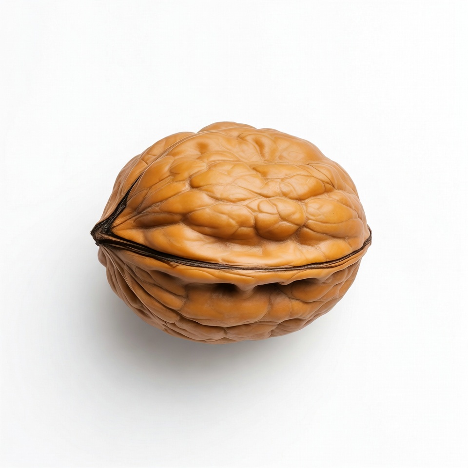 Walnut resting on a white background Walnut resting on a white background
