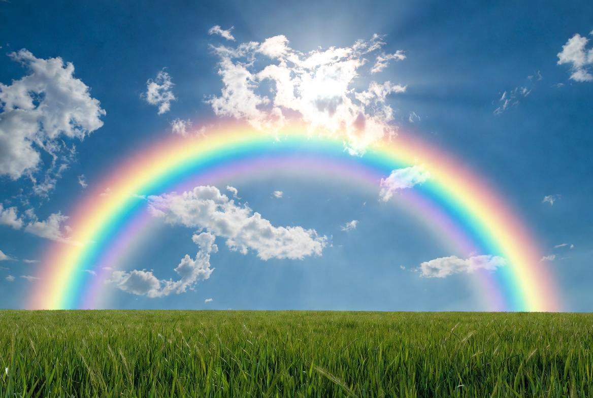 Rainbow over green field Rainbow over green field