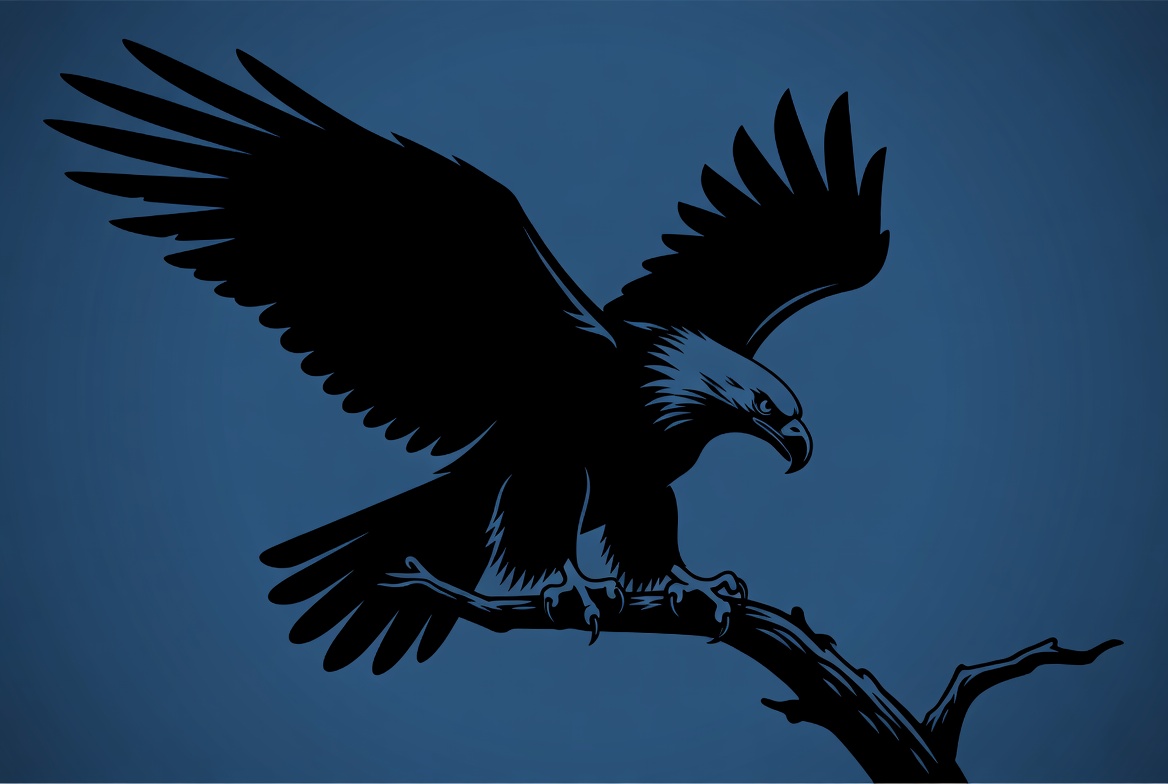 Bald eagle perched on branch silhouette Bald eagle perched on branch silhouette