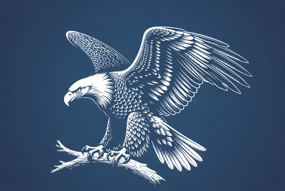 Bald Eagle Perched on Branch Bald Eagle Perched on Branch