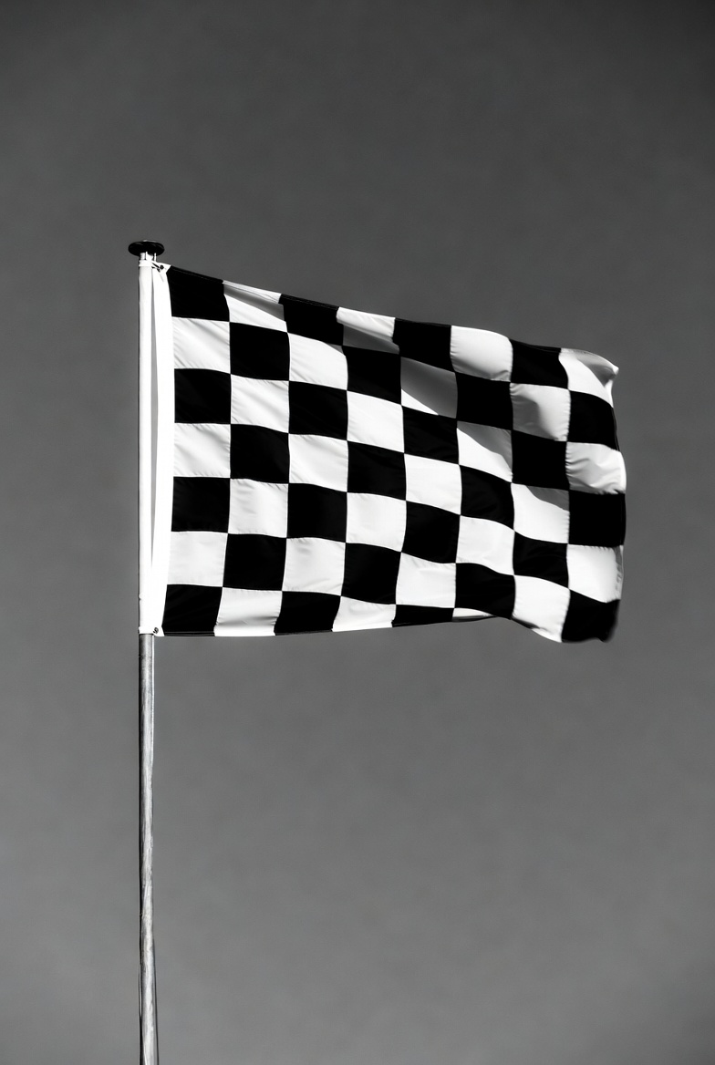 Checkered Flag on Pole Checkered Flag on Pole