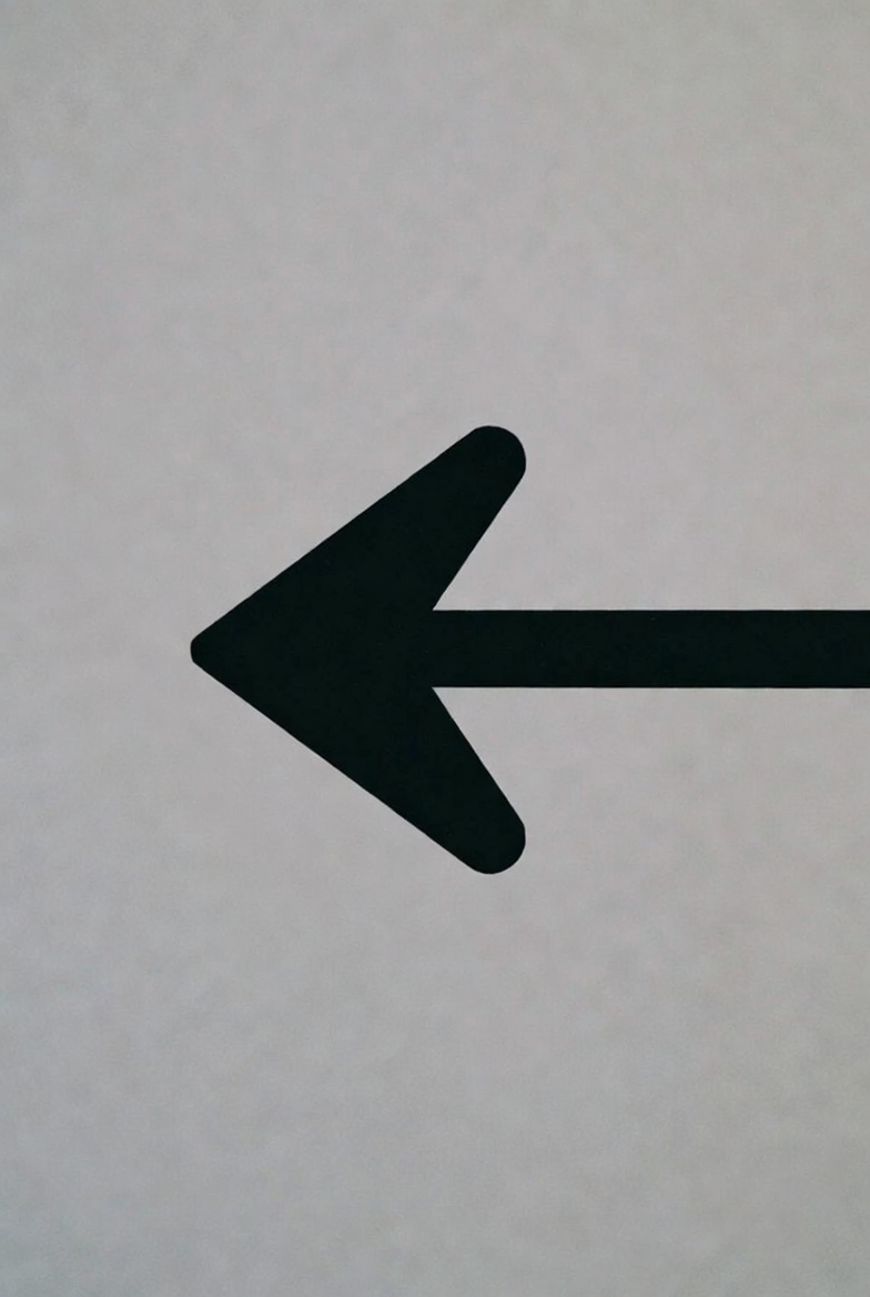 Black left arrow icon Black left arrow icon