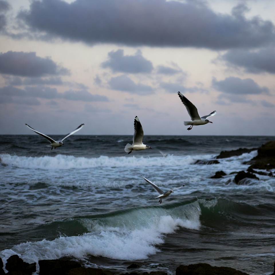 Seagulls Flying Over Ocean Waves Seagulls Flying Over Ocean Waves