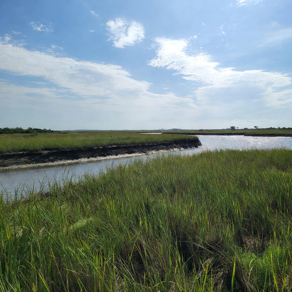 Marshland with river under blue sky Marshland with river under blue sky