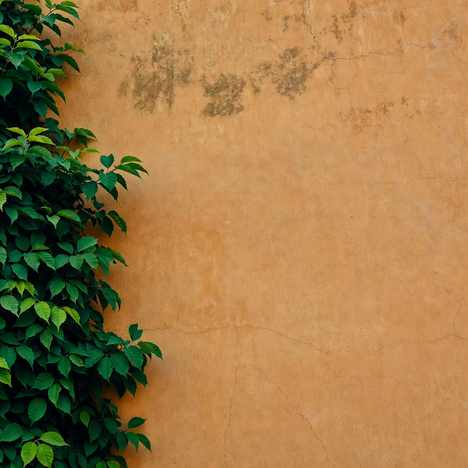 Green ivy climbing textured ochre wall Green ivy climbing textured ochre wall