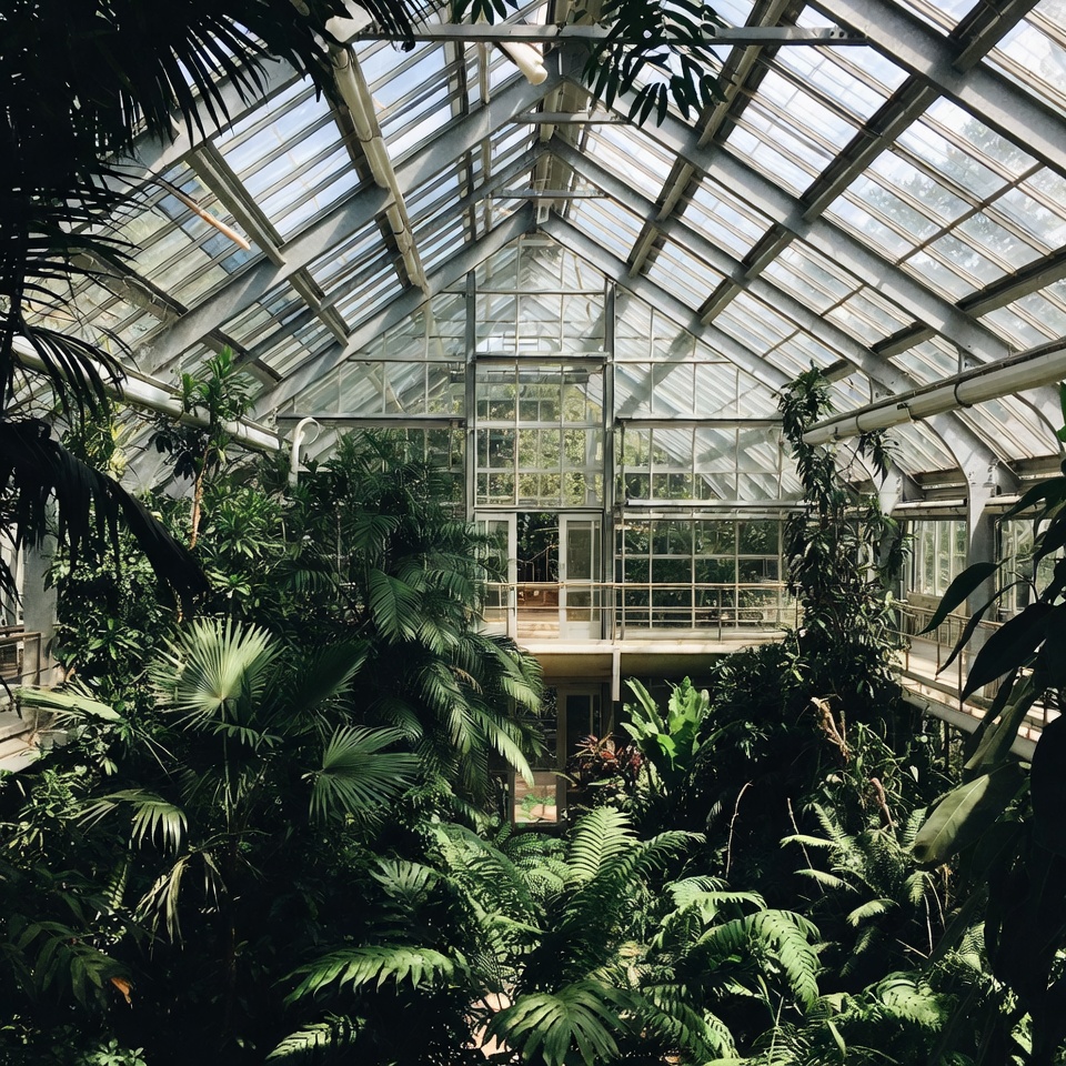 Glass Greenhouse with Tropical Plants Glass Greenhouse with Tropical Plants
