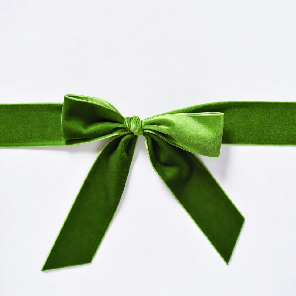 Green Velvet Bow on White Background Green Velvet Bow on White Background