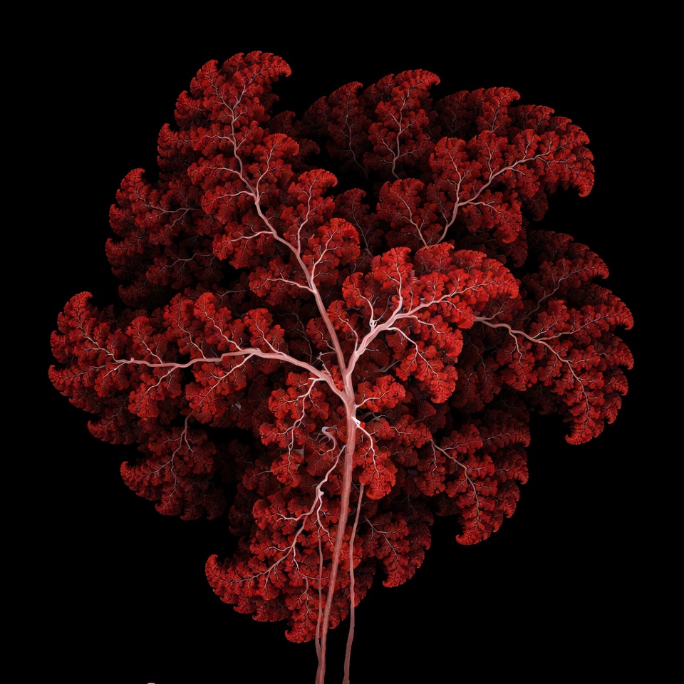 Red Fractal Tree on Black Red Fractal Tree on Black