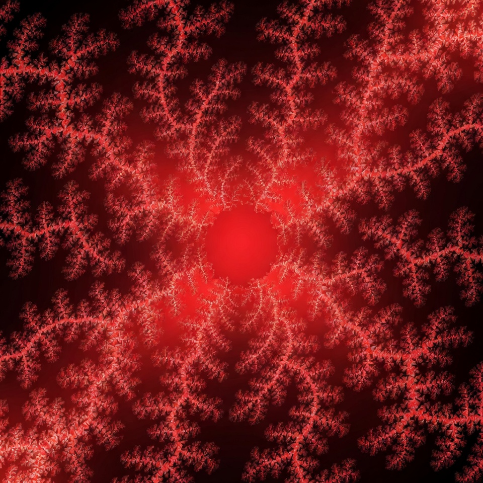 Red Fractal Pattern on Black Red Fractal Pattern on Black