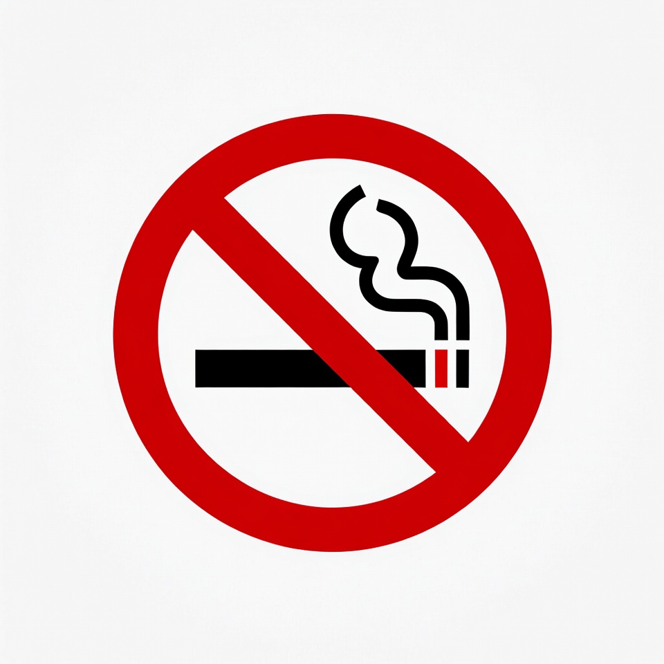 No Smoking Sign No Smoking Sign