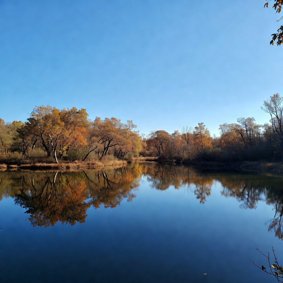 Autumn Trees Reflecting in Lake Autumn Trees Reflecting in Lake
