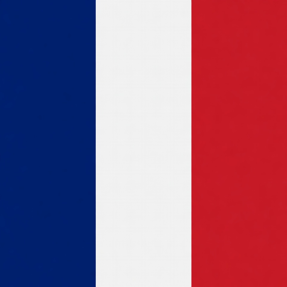 French Flag French Flag