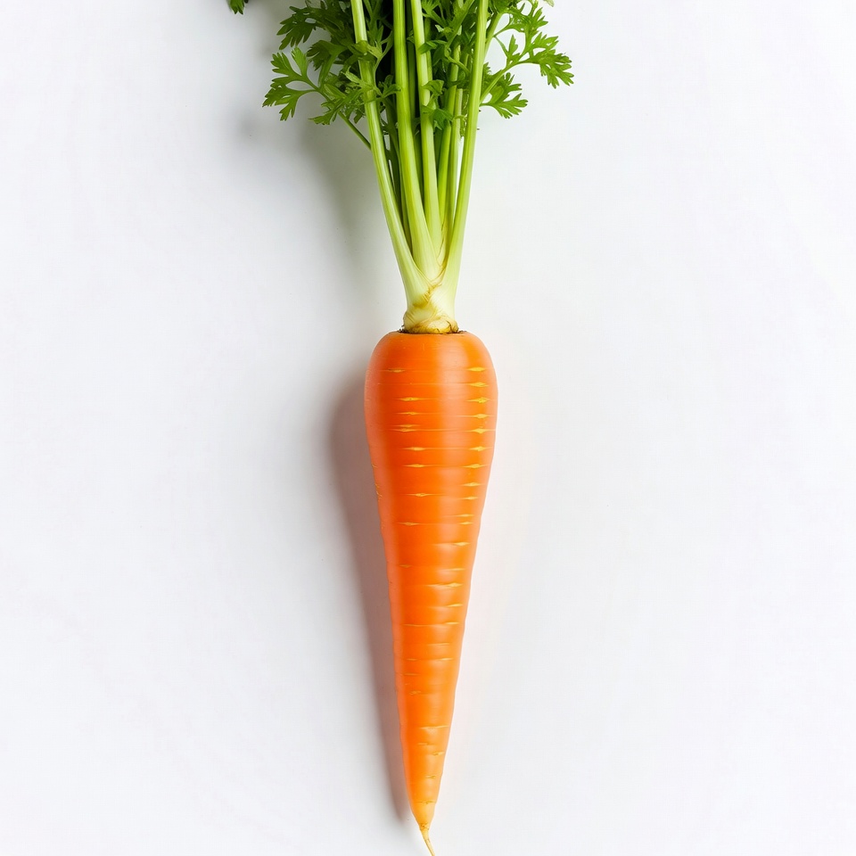 Fresh carrot with green tops Fresh carrot with green tops