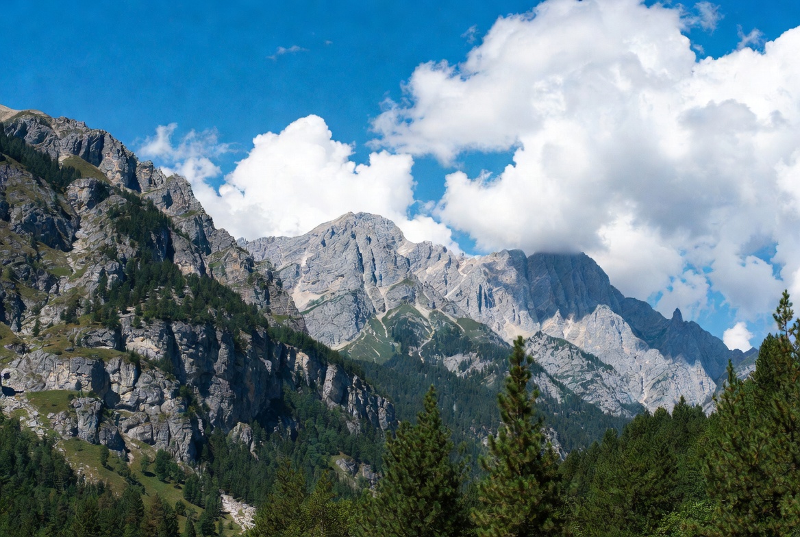 Majestic Mountains with Pine Trees Majestic Mountains with Pine Trees