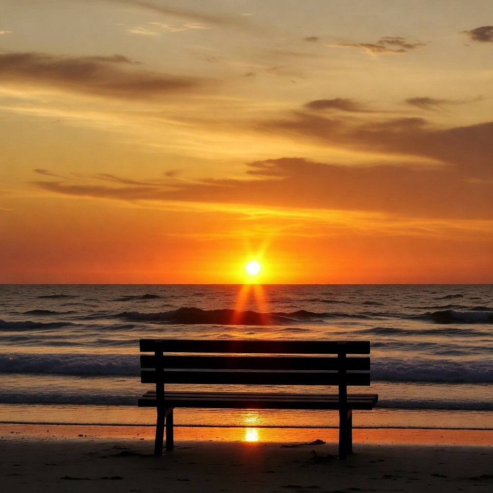 Wooden bench on beach at sunset Wooden bench on beach at sunset