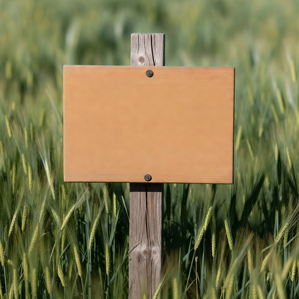 Blank signpost in wheat field Blank signpost in wheat field