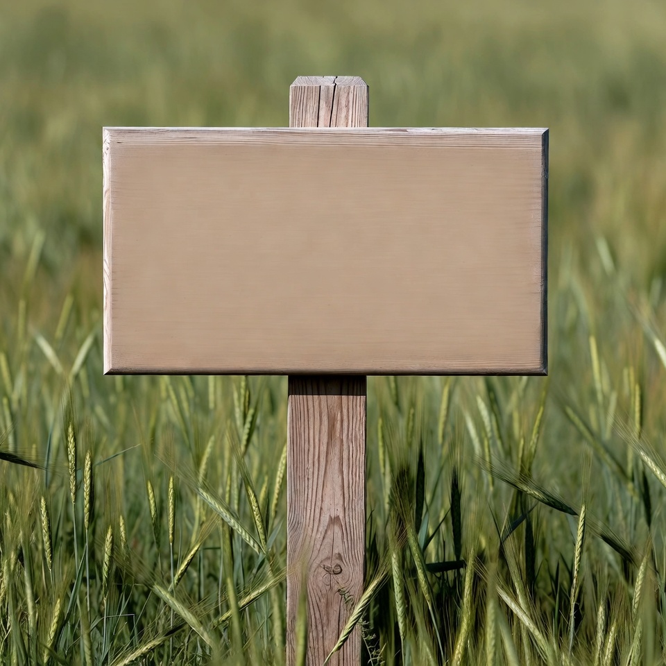 Blank wooden sign in wheat field Blank wooden sign in wheat field