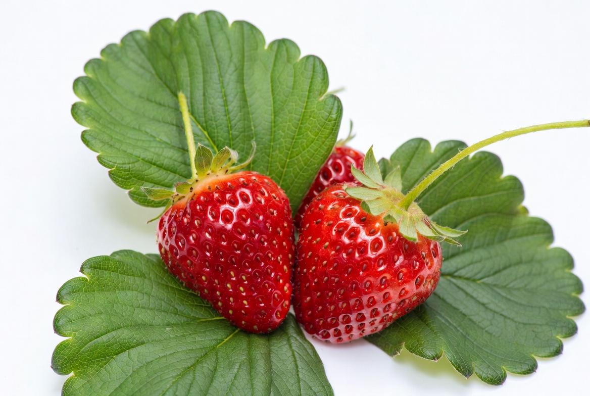 Fresh Strawberries with Green Leaves Fresh Strawberries with Green Leaves
