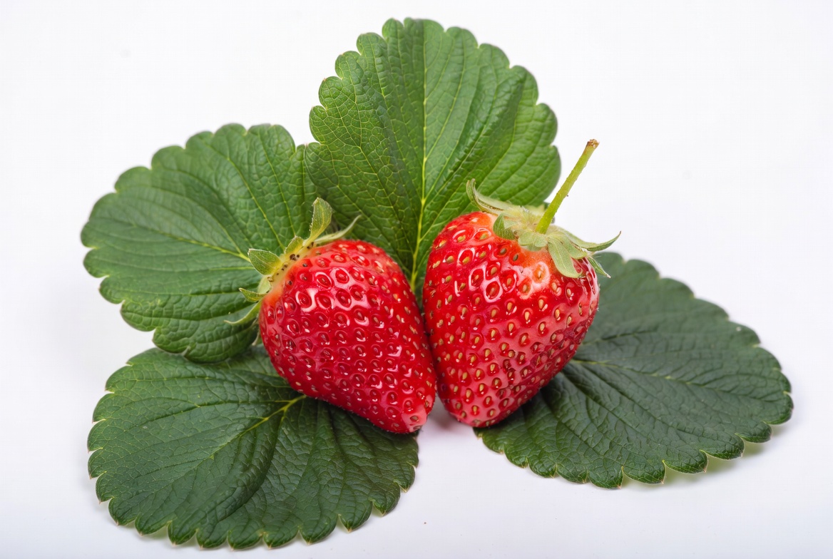 Two Strawberries on Green Leaves Two Strawberries on Green Leaves