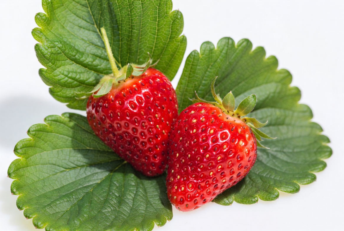 Two Fresh Strawberries on Green Leaves Two Fresh Strawberries on Green Leaves