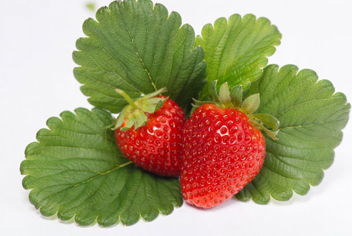 Fresh Strawberries with Green Leaves Fresh Strawberries with Green Leaves