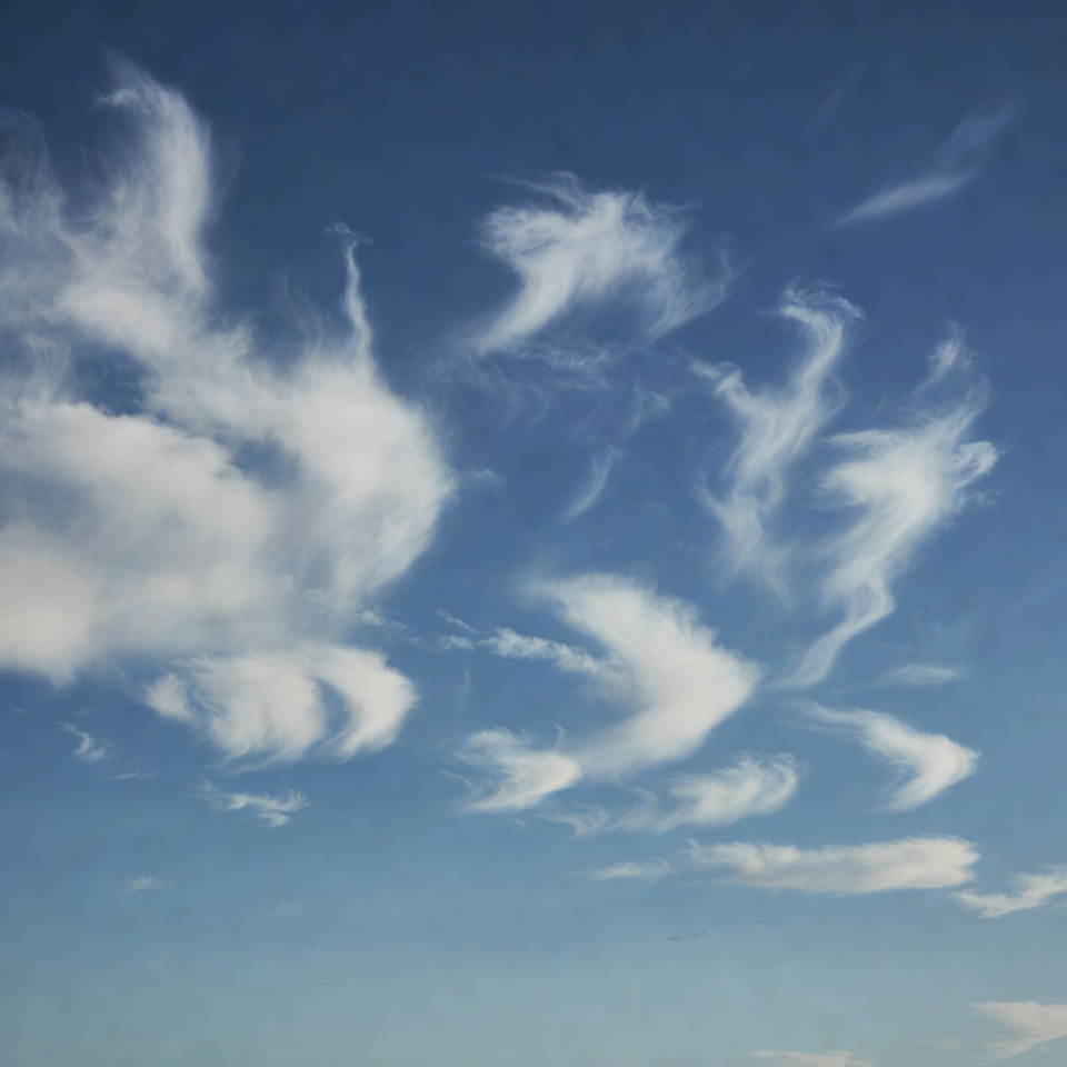 Clouds resembling flying dragons Clouds resembling flying dragons