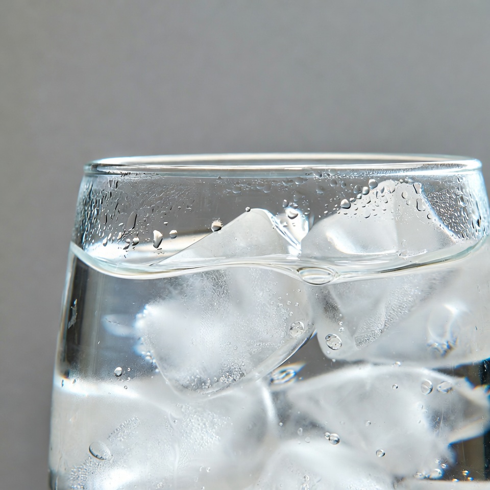 Glass of Water with Ice Cubes Glass of Water with Ice Cubes