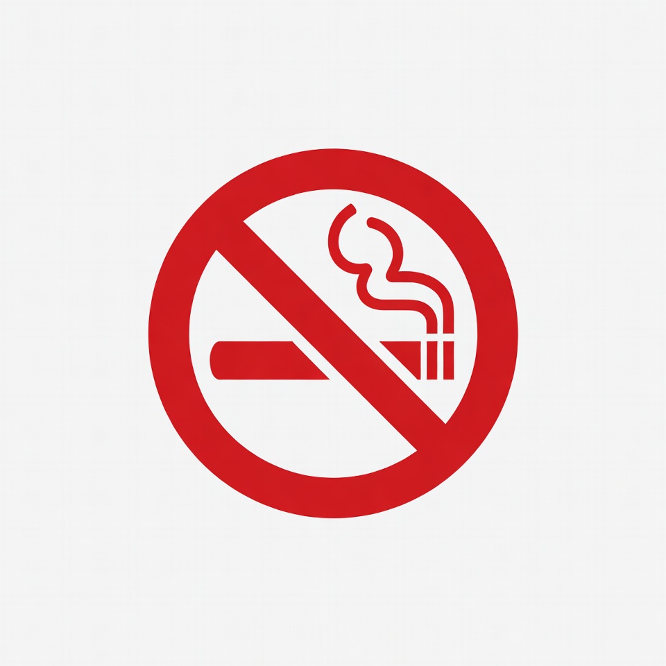 No Smoking Sign No Smoking Sign