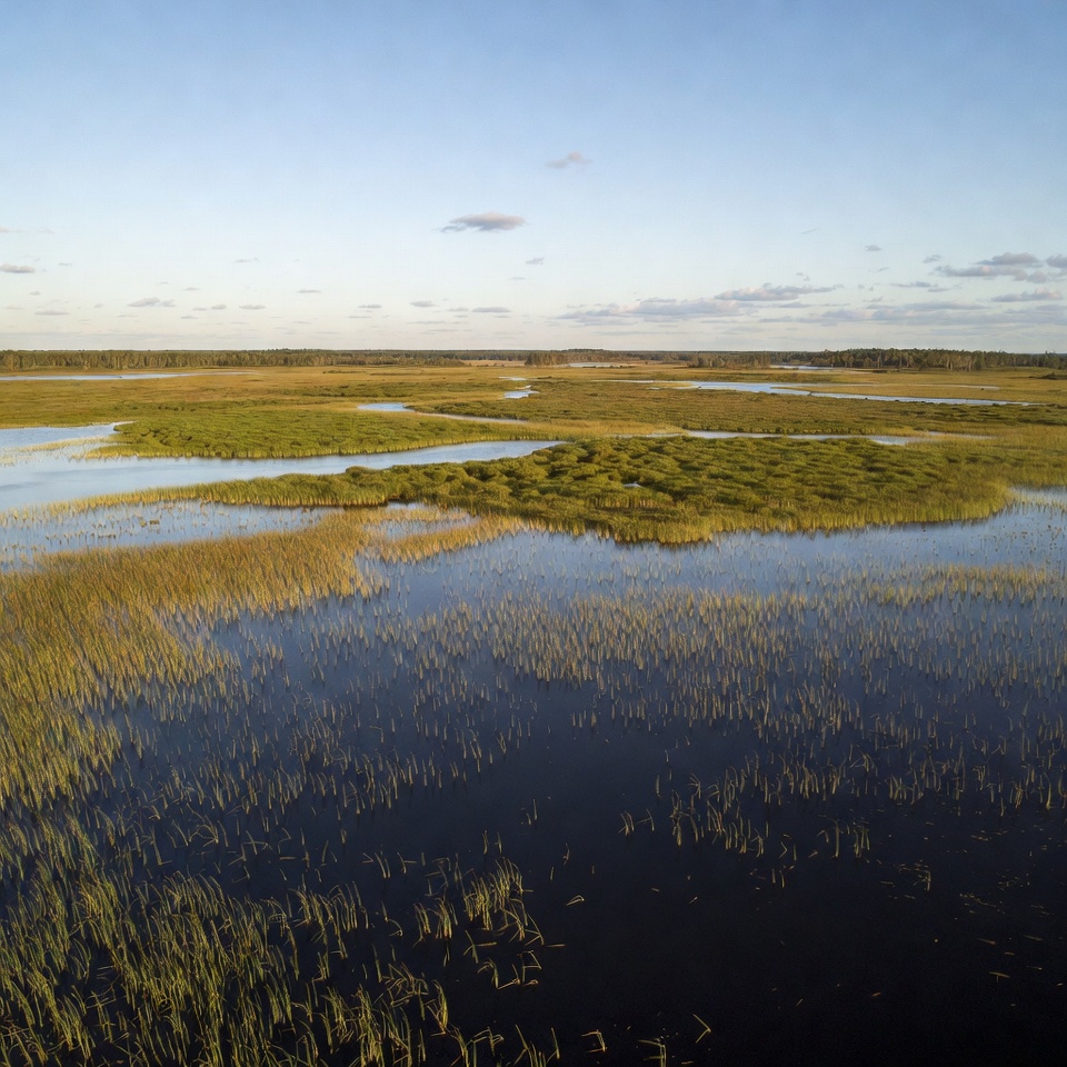 Aerial View of Marshland Wetlands Aerial View of Marshland Wetlands