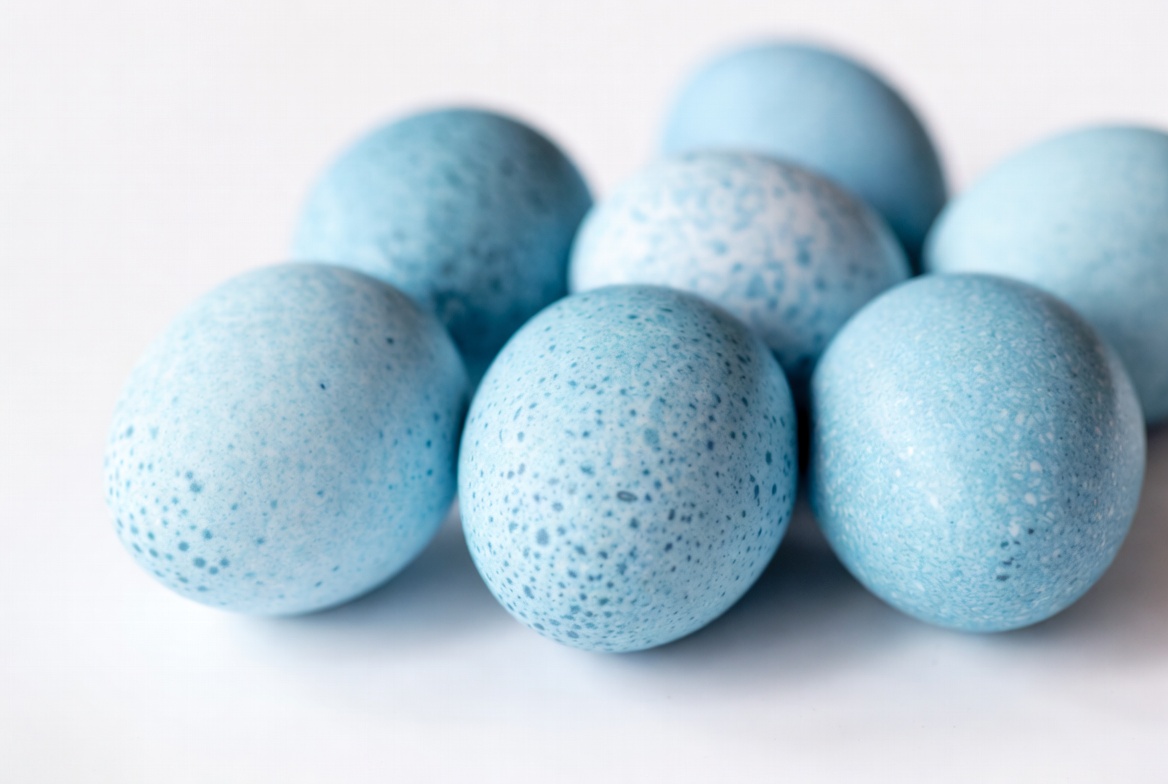 Blue Easter Eggs on White Background Blue Easter Eggs on White Background