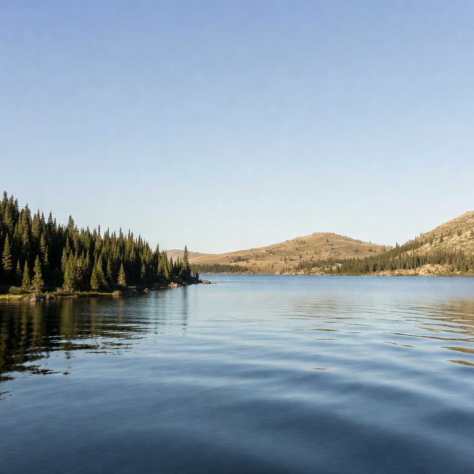 Mountain Lake with Pine Trees Mountain Lake with Pine Trees