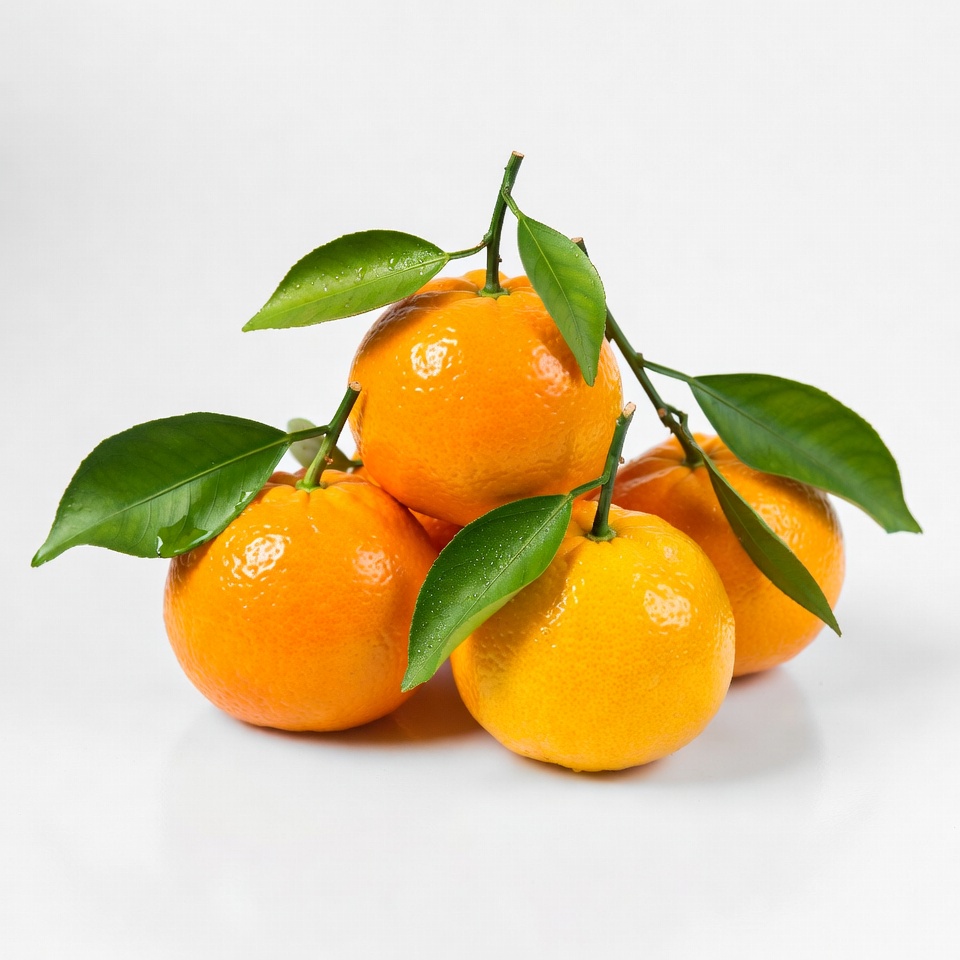 Fresh Mandarins with Leaves Fresh Mandarins with Leaves