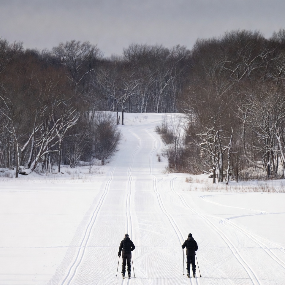 Two Men Cross-Country Skiing Snowy Trail Two Men Cross-Country Skiing Snowy Trail