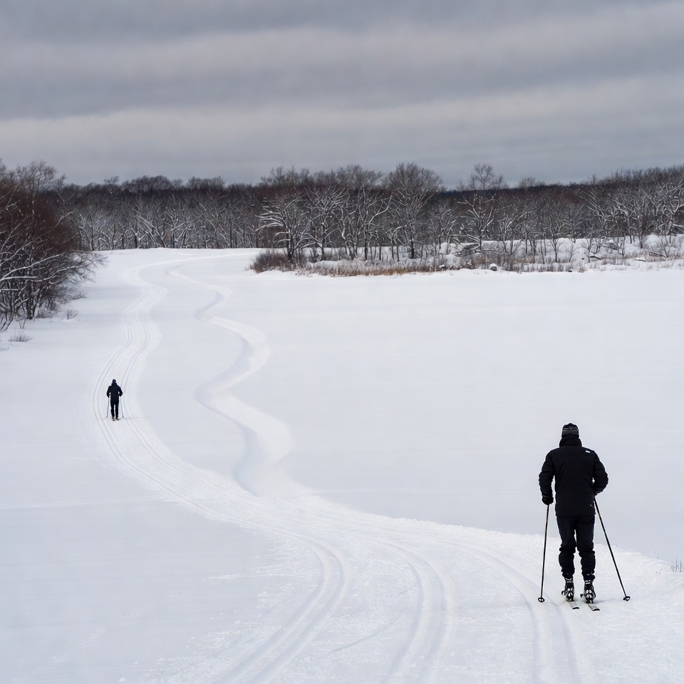 Two men cross-country skiing snowy trail Two men cross-country skiing snowy trail