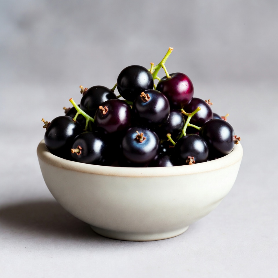 Black Currants in White Bowl Black Currants in White Bowl