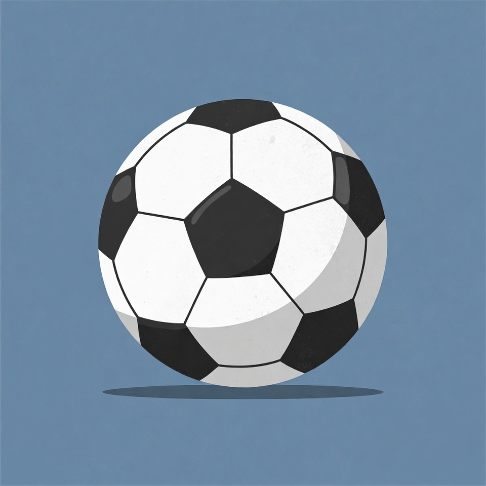 Black and white soccer ball Black and white soccer ball