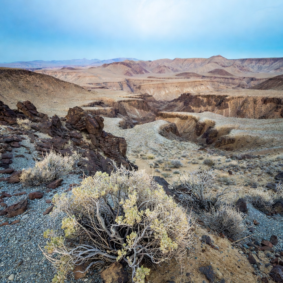 Desert Canyon Landscape with Shrubs Desert Canyon Landscape with Shrubs