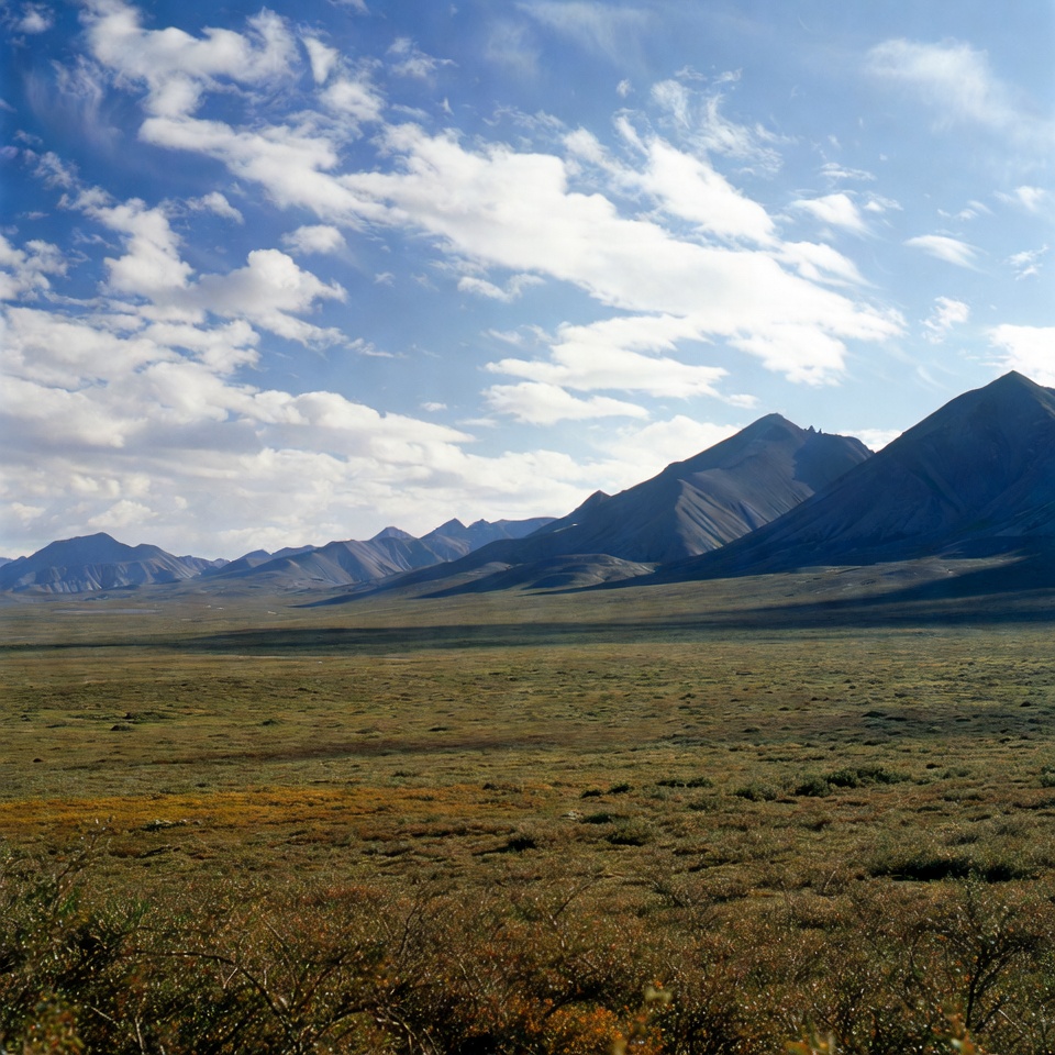 Mountains over vast green plain Mountains over vast green plain