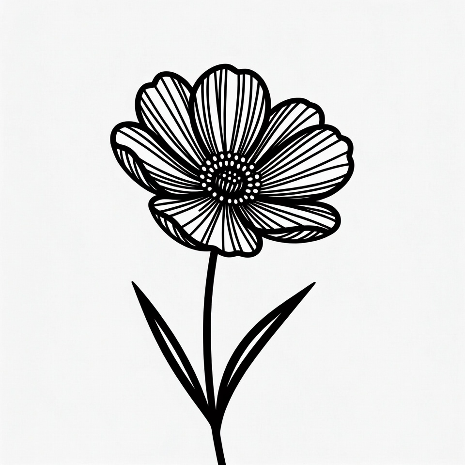 Black Outline Cosmos Flower Black Outline Cosmos Flower