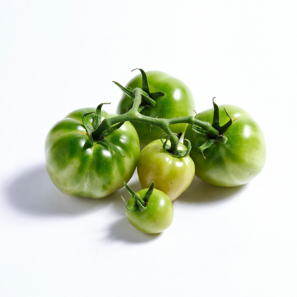 Fresh Green Tomatoes on White Background Fresh Green Tomatoes on White Background