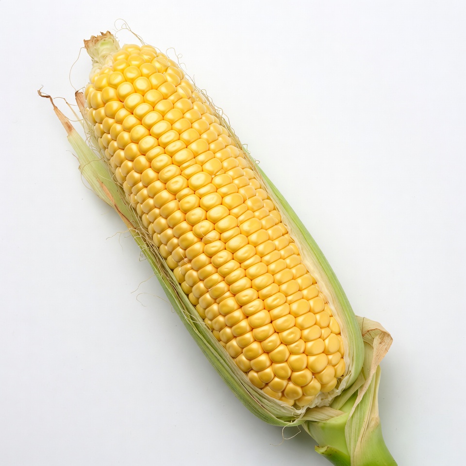 Corn cob on white background Corn cob on white background