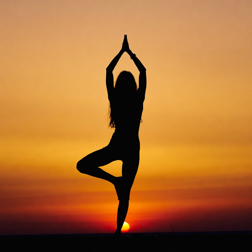 Woman in Tree Pose Silhouette at Sunset Woman in Tree Pose Silhouette at Sunset