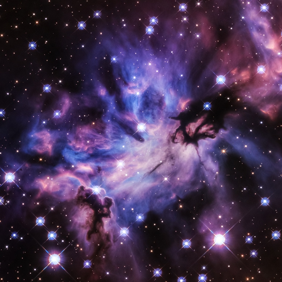 Horsehead Nebula in Orion Horsehead Nebula in Orion