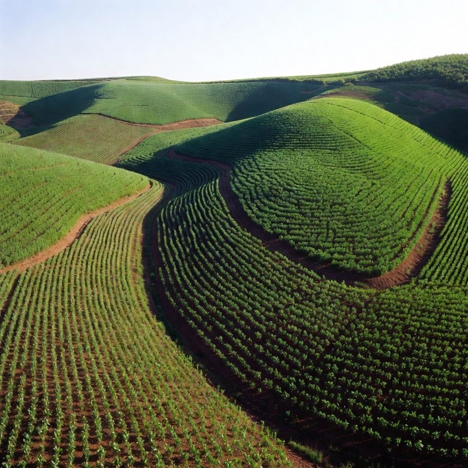Green Rolling Hills Farmland Green Rolling Hills Farmland