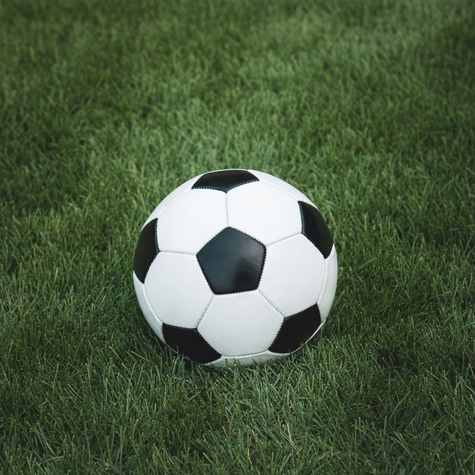 Soccer Ball on Green Grass Soccer Ball on Green Grass