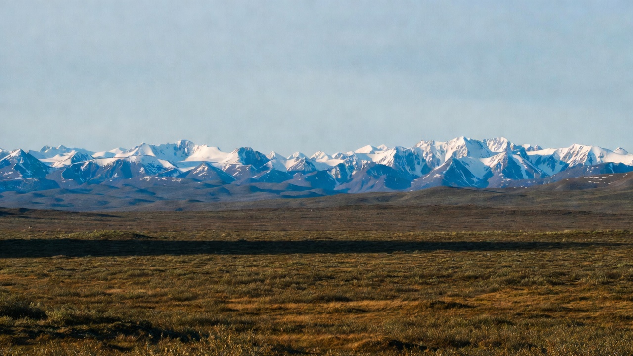 Snowy Mountains Over Vast Grassland Snowy Mountains Over Vast Grassland