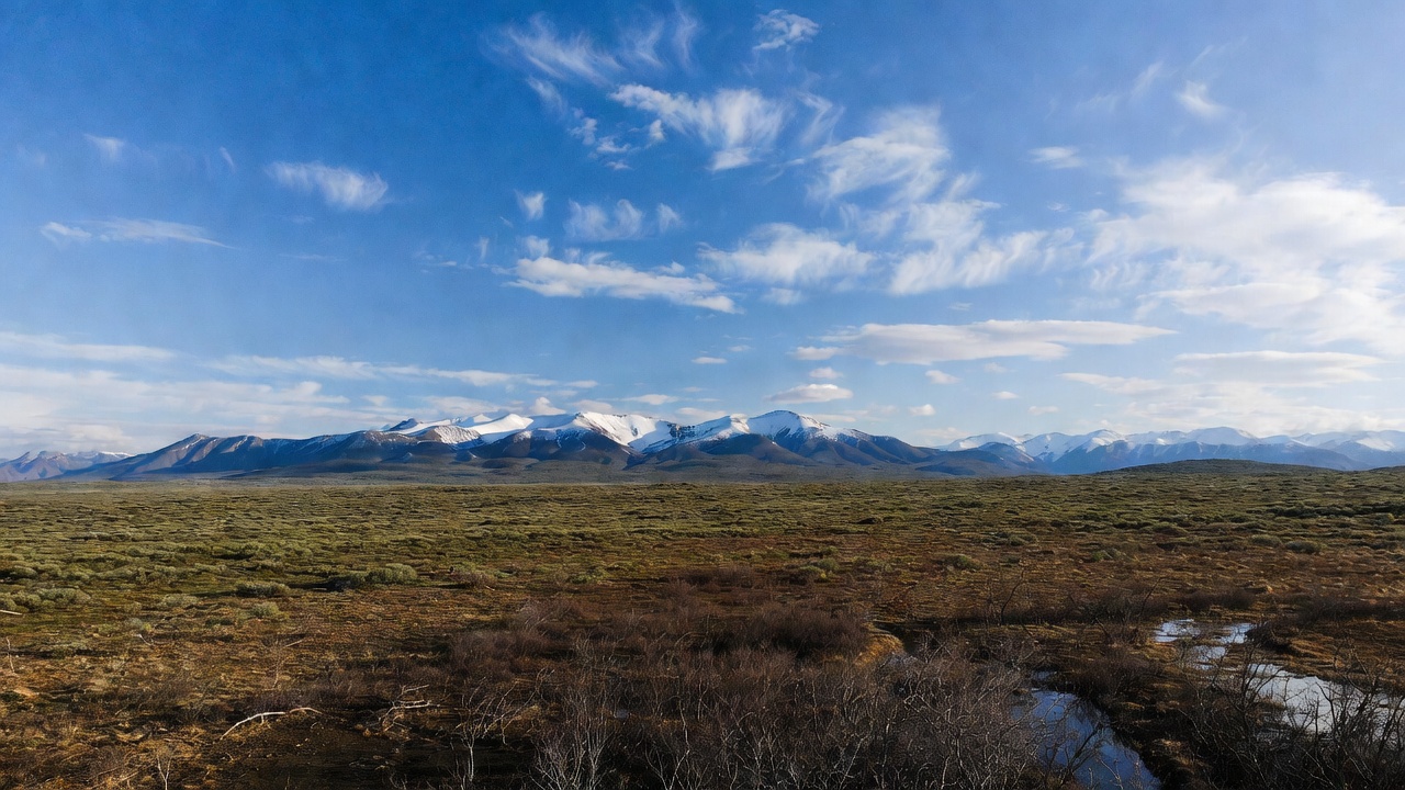 Snowy Mountains Over Golden Grassland Snowy Mountains Over Golden Grassland