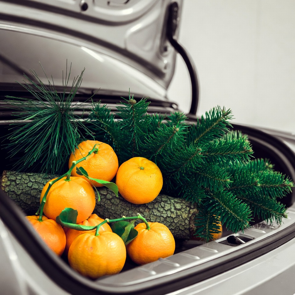 Oranges and Christmas Greens in Car Trunk Oranges and Christmas Greens in Car Trunk
