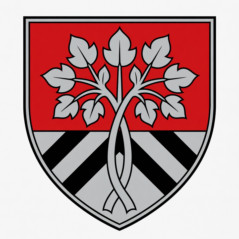 Red Shield with Silver Maple Leaves Red Shield with Silver Maple Leaves